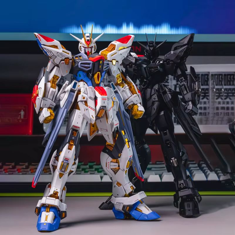 CHANGLONG Model 7701 MGEX ZGMF - Gundam Model Mg review and price