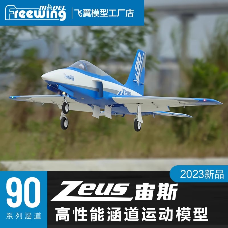 Freewing Electric RC Jet Plane - Model Kit Zeus review and price